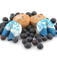Chocolate Covered Fortune Cookies - Blueberry Flavored Fortune Cookies