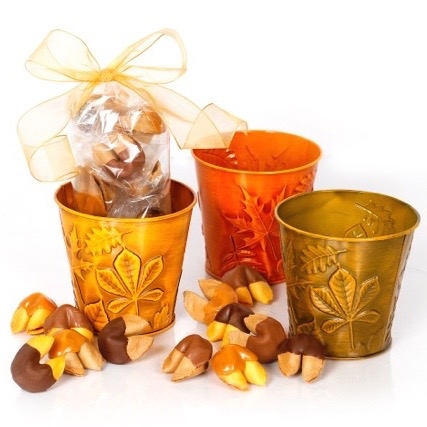 Bring in the autumn with with this warm gift of one dozen fortune cookies. Each chocolate covered fortune cookie contains a message of good luck and thankfulness.