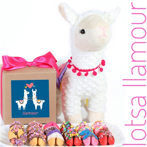 llama gift box and stuffed llama with chocolate covered fortune cookies is the perfect Valentine's day gift for your sweetheart.