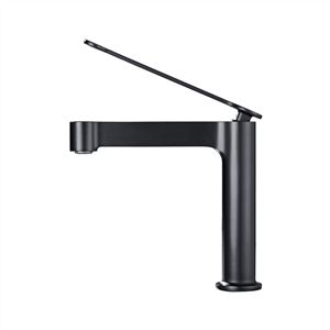 Aqua Mirante Single Lever Bathroom Vanity Faucet - Black