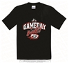 Flowery Branch Falcons Gameday Tee