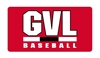 Gainesville Baseball License Plate