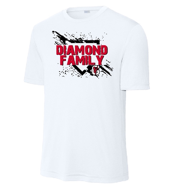 Gainesville Diamond Family Tee