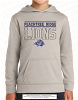 Peachtree Ridge Lions Hoodie in Silver