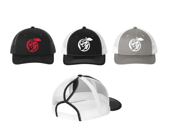 Viper Club of Georgia Embroidered Logo Snapback Ponytail Trucker Cap