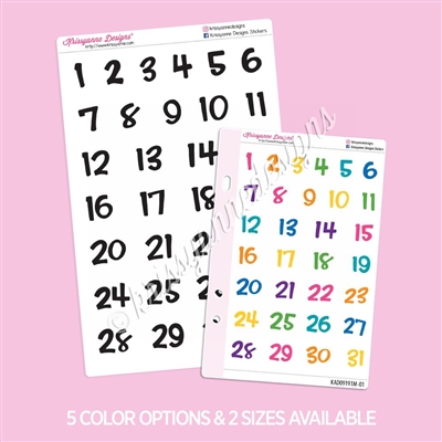 Hand Lettered Script | Numbers