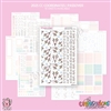 2025 CC | Passover Supplement