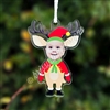 Acrylic Ornament | Custom Christmas Reindeer