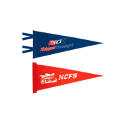 felt-pennants