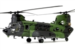 RCAF Boeing-Vertol CH-147 Chinook Heavy Lift Helicopter - "301", No.450 Tactical Helicopter Squadron, Petawawa, Ontario, 2008