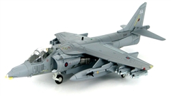 RAF/RN BAE Harrier II GR. Mk. 7 Jump Jet - ZD461, Joint Force, Afghanistan, 2008 [Low-Vis Scheme]