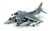 USMC Boeing AV-8B Harrier II Plus Jump Jet - VMA-542 Tigers, Marine Corps Air Station Cherry Point, North Carolina [Low-Vis Scheme]
