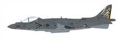 USMC Boeing Harrier II AV-8B Jump Jet - 165425, VMA-542 "Tigers", Marine Corps Air Station Cherry Point, North Carolina, 2019 [Low-Vis Scheme]