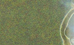 Light Green Static Grass