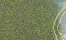 Light Green Static Grass