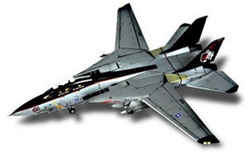 US Navy Grumman F-14A Tomcat Fleet Defense Fighter - VF-154 Black Knights