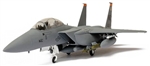 USAF Boeing F-15E Strike Eagle Multirole Fighter - 391st Fighter Squadron "Bold Tigers", 366th Fighter Wing, Mountain Home AFB, Arkansas [Low-Vis Scheme]