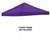 Plain Purple Canopy Top  