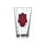 University of Arkansas Razorbacks 16oz Logo Pint Glass