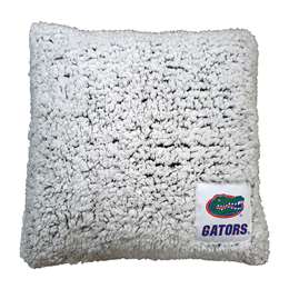 Florida Campus Colors Frosty Throw Pillow
