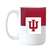 Indiana 15oz Colorblock Sublimated Mug