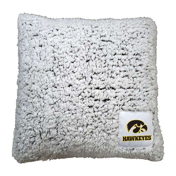 Iowa Campus Colors Frosty Throw Pillow