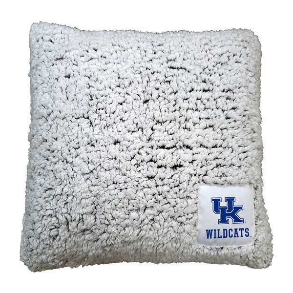 Kentucky Campus Colors Frosty Throw Pillow