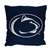 Penn State Nittany Lions  Invert Woven Pillow  