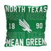 North Texas Mean Green Stacked 20 in. Woven Pillow  