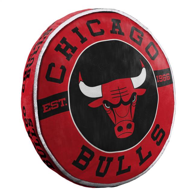 Chicago Basketball Bulls 15 inch Cloud Pillow 