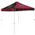 South Carolina Gamecocks Canopy Tent 9X9 Checkerboard