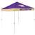 Washington Huskies 9 X 9 Canopy - Tailgate Tent with Carry Bag 