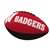 University of Wisconsin Badgers Junior Size Rubber Football