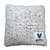 Villanova Campus Colors Frosty Throw Pillow