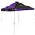 Baltimore Ravens  Canopy Tent 9X9 Checkerboard