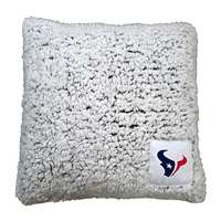 Houston Texans Frosty Throw Pillow