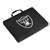 Oakland Raiders Bleacher Cushion Stadium Seat  