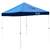 Tennessee Titans 9 X 9 Canopy - Tailgate Tent with Carry Bag 