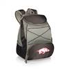 Arkansas Sports Razorbacks Insulated Backpack Cooler