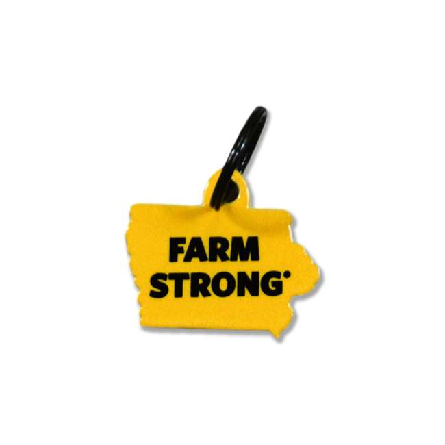 Iowa Hawkeyes-ANF Laser Cut Logo Steel Key Ring-Farm Strong   