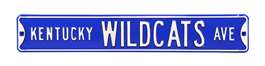 Kentucky Wildcats Steel Street Sign-KENTUCKY WILDCATS AVE    