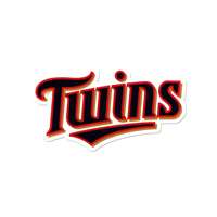 Minnesota Twins Laser Cut Logo Steel Magnet-Script    