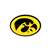 Iowa Hawkeyes Laser Cut Logo Steel Magnet-Hawkeyes Oval   