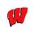Wisconsin Badgers Laser Cut Logo Steel Magnet-Primary Logo   