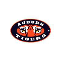 Auburn Tigers Laser Cut Logo Steel Magnet-Tiger Eye   