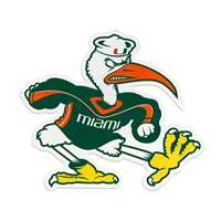 Miami Hurricanes Laser Cut Steel Logo Statement Size-Ibis Mascot   