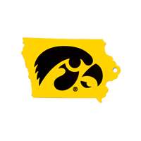 Iowa Hawkeyes Laser Cut Logo Steel Magnet-Hawkeyes logo in State   