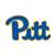 Pittsburgh Panthers Laser Cut Logo Steel Magnet-Panthers Primary Logo 2020   