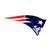 New England Patriots Laser Cut Steel Logo Spirit Size-Primary Logo   