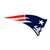 New England Patriots Laser Cut Steel Logo Statement Size-Primary Logo   
